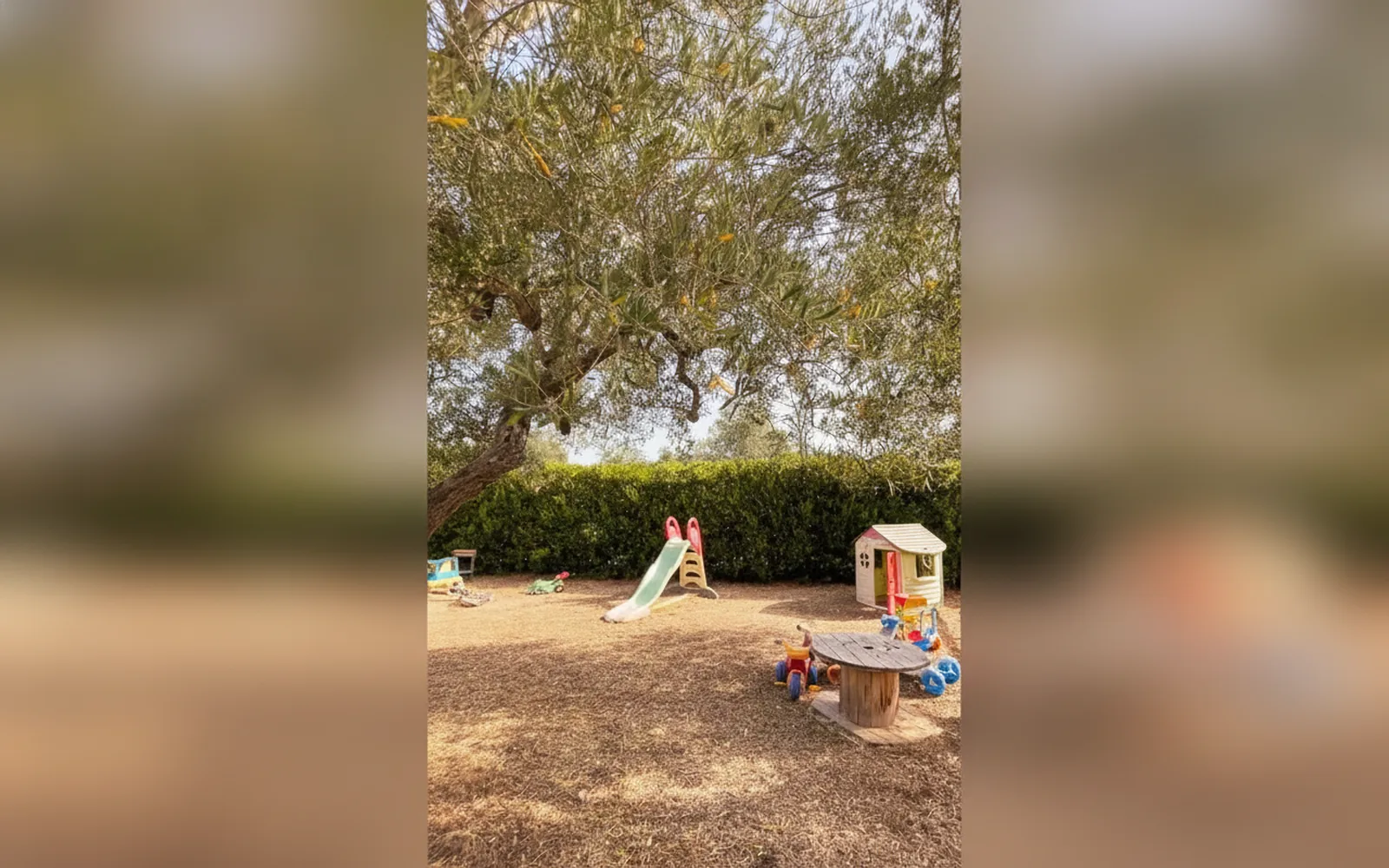 Agriturismo B&B Casale Torre San Magno, Corato (Puglia) — galleria foto 53