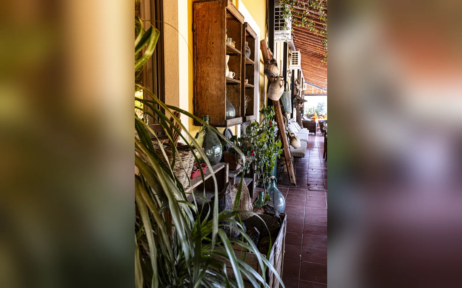 Agriturismo B&B Casale Torre San Magno, Corato (Puglia) — galleria foto 85